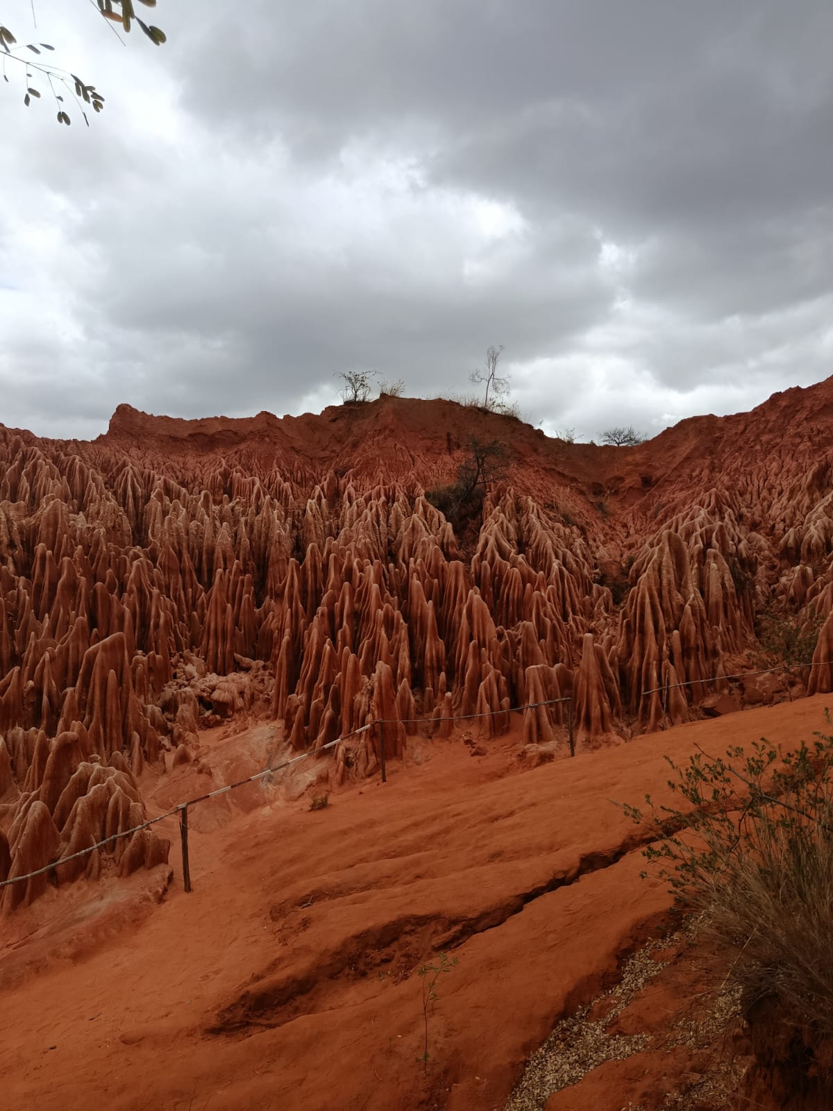 Tsingy Madagascar